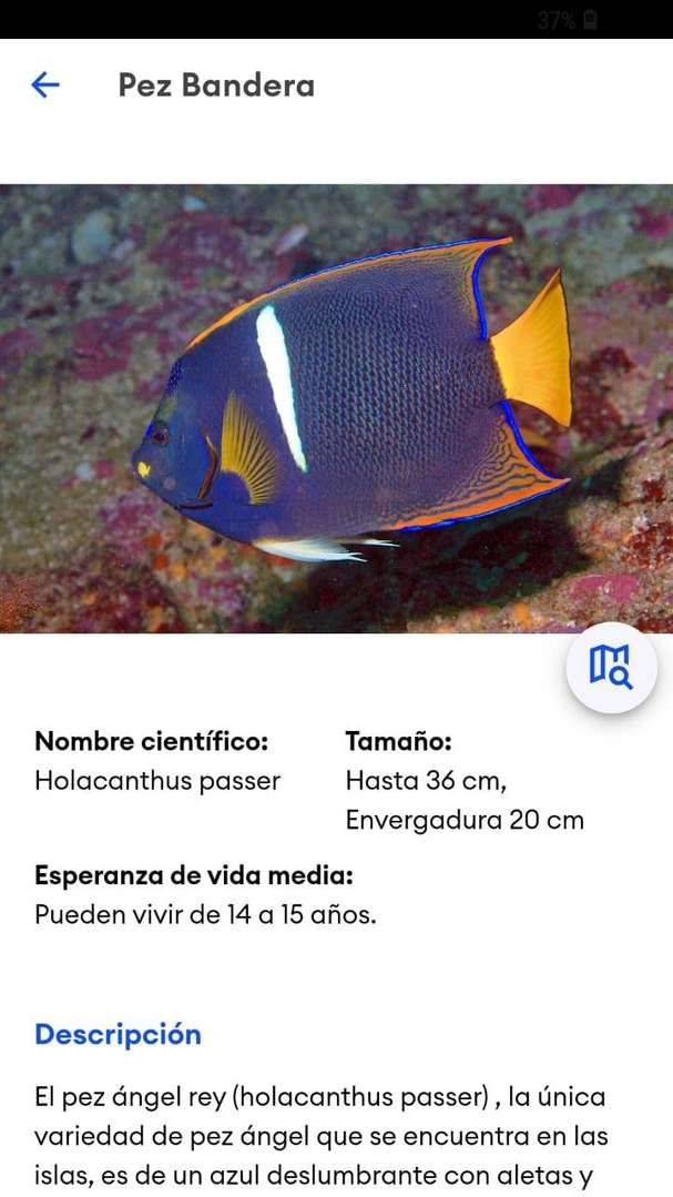 galaguide6-compressed